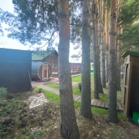 Дом среди сосен